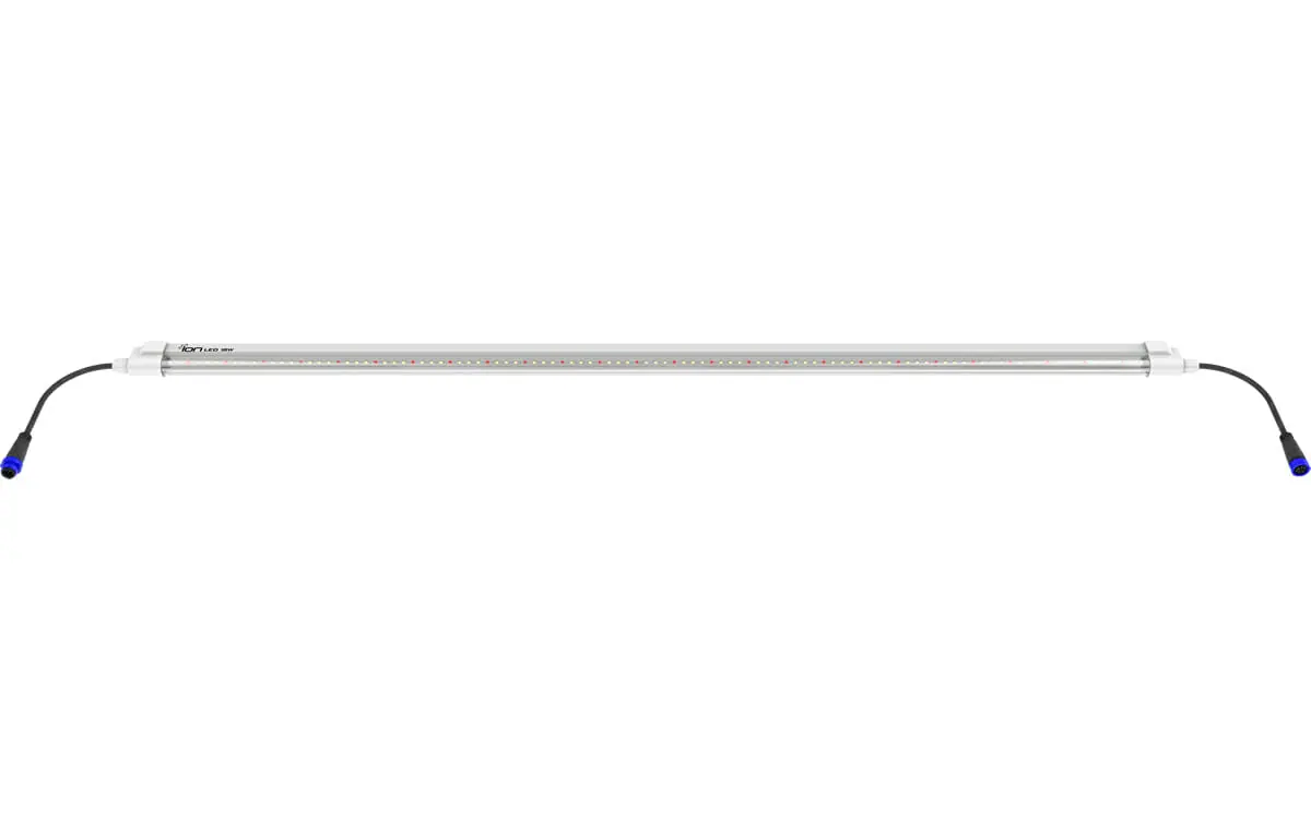 36W Clone LED - Horticultural Lighting